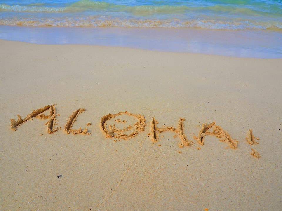 aloha!